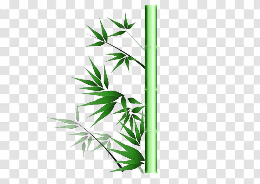 Leaf Green Plant Grass Bamboo - Tree Hemp Family Transparent PNG