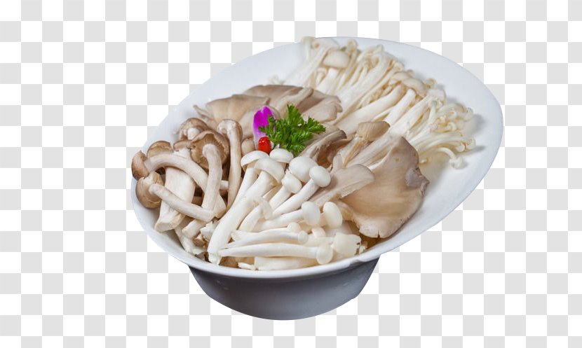 Chinese Cuisine Ingredient Oyster Mushroom - Food - More Fight Transparent PNG