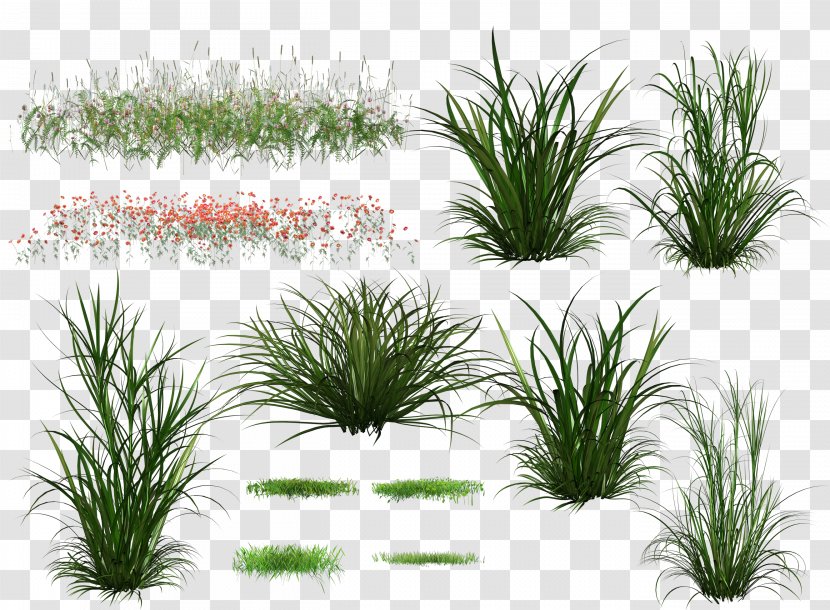 Download Green - Upload - Creative Grass Background Transparent PNG
