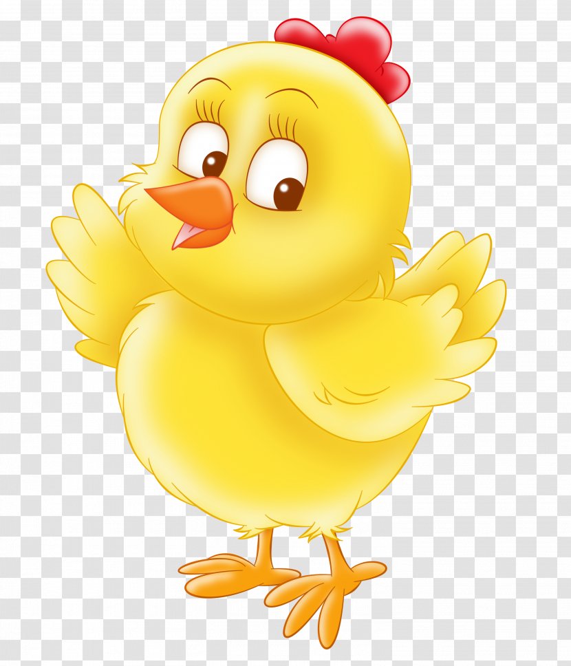 Chicken Cartoon - Rubber Ducky - Water Bird Animation Transparent PNG