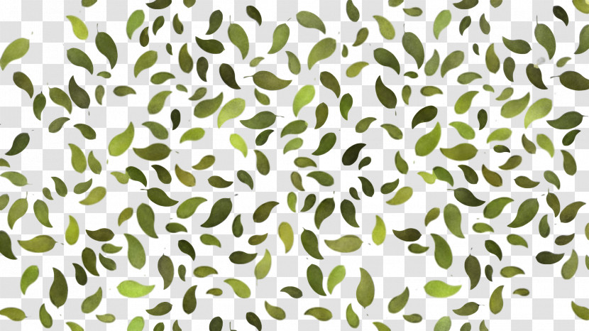 Pattern Leaf Hue Green Plant Stem Transparent PNG