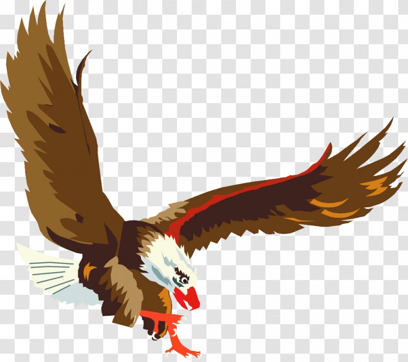 Philadelphia Eagles - Wildlife - Eagle Transparent PNG