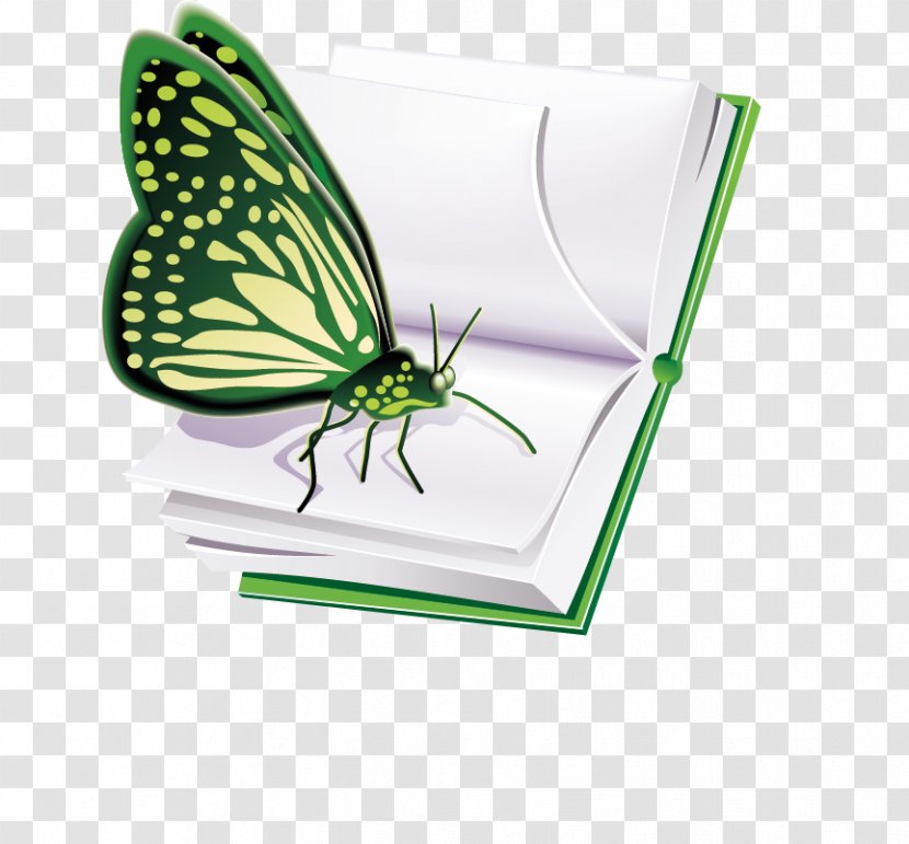Ecology Natural Environment Icon - Organism - Cartoon Books Transparent PNG