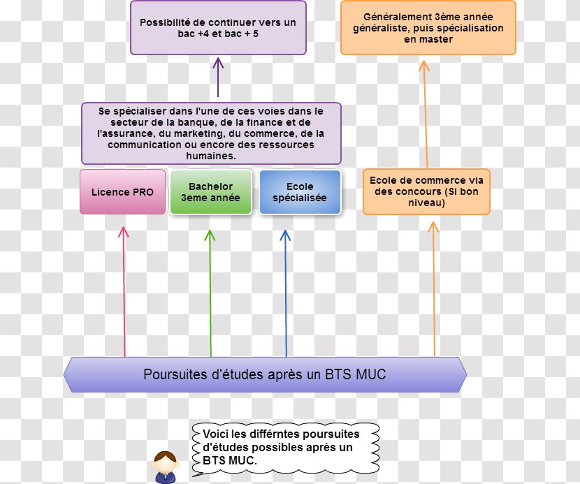 Advanced Vocational Diploma Brevet De Technicien Supérieur - Marketing - Management Des Unités Commerciales Baccalauréat Professionnel Licence ProfessionnelleImmobilier Transparent PNG