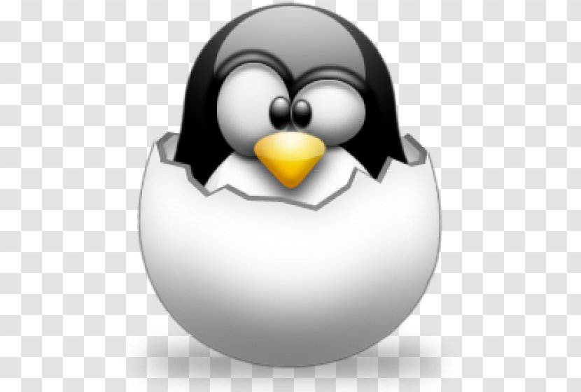 Application Software Computer User Ubuntu Tux - Linux - Shell Command Transparent PNG