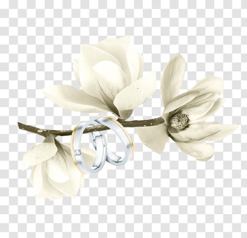 Watercolor Painting Magnolia - Flower - Wedding Transparent PNG