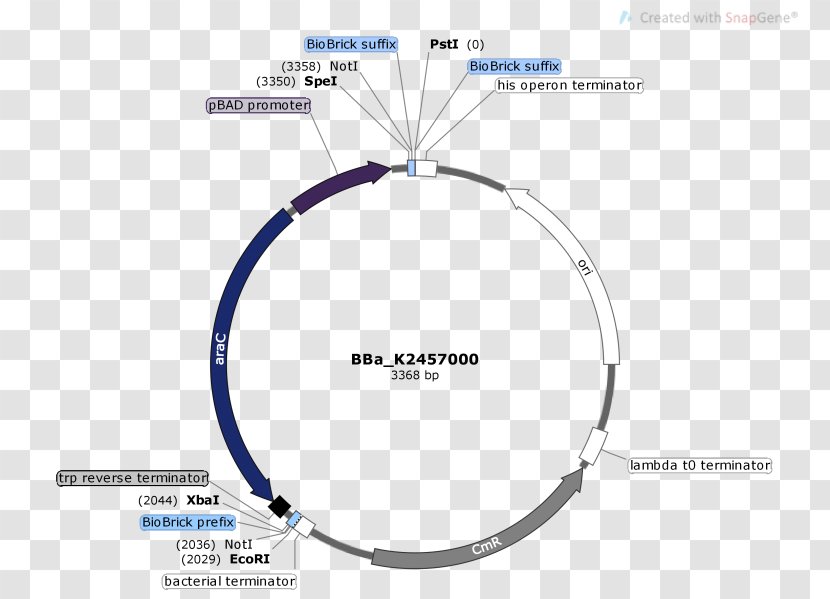 Technology Diagram Transparent PNG