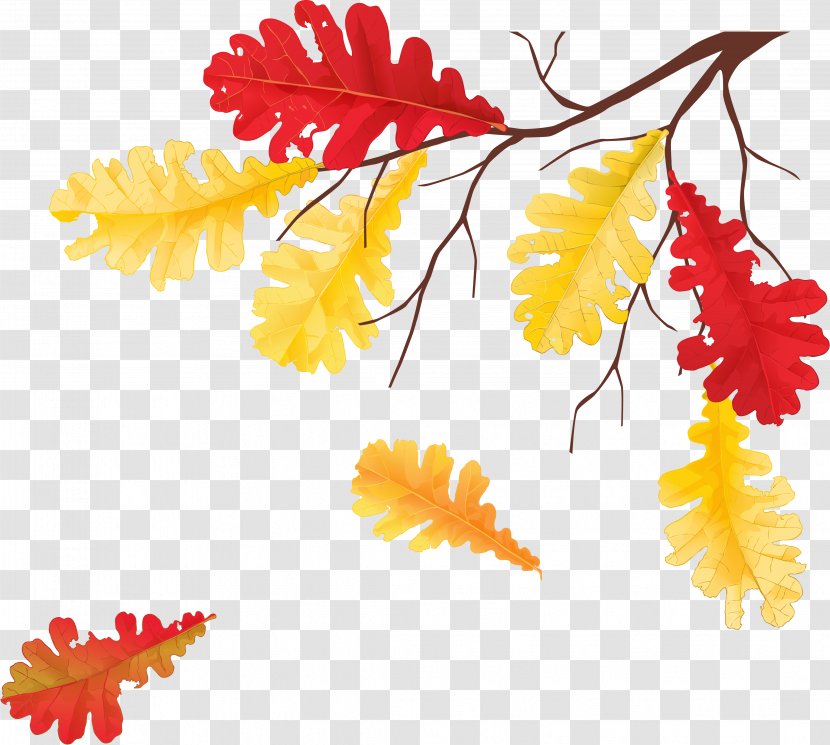 Autumn Leaves Leaf Tree Clip Art Transparent PNG
