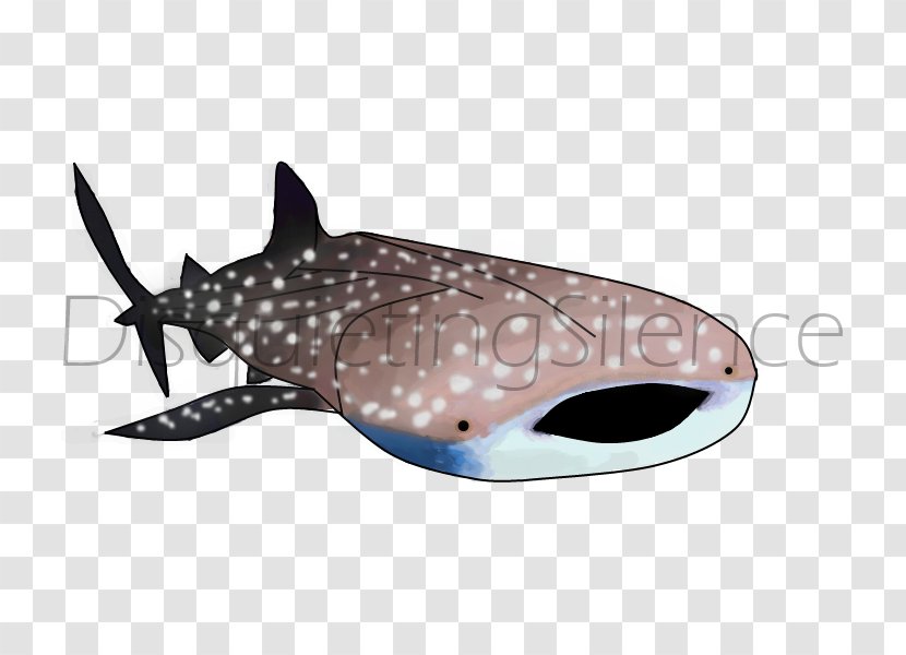Shark Marine Biology - Fish Transparent PNG