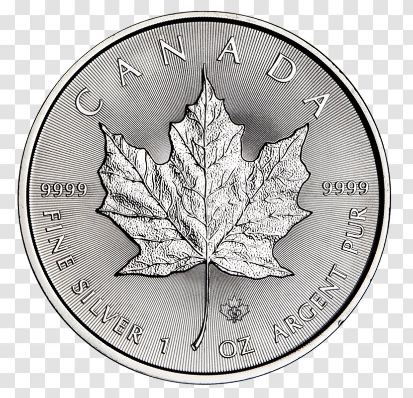 Coin Silver Leaf Transparent PNG