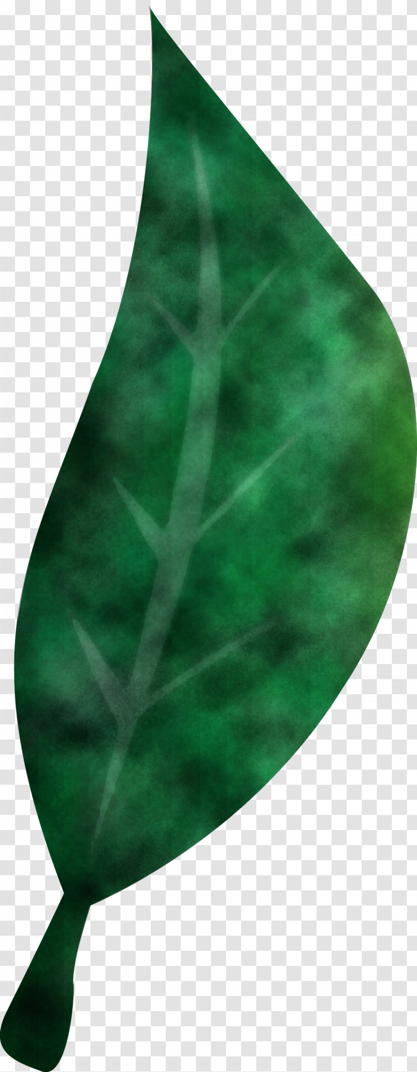 Leaf Green Biology Science Plants Transparent PNG