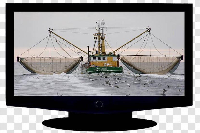 High-definition Television Computer Monitor Display Device - Lcd - TV Screen Transparent PNG