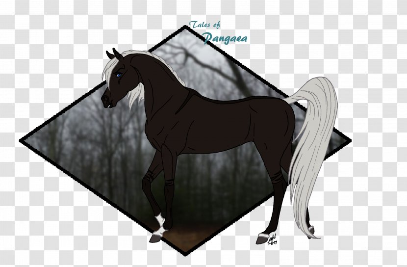 Mane Rein Mustang Stallion Halter - Horse Like Mammal - Dales Pony Breed Transparent PNG