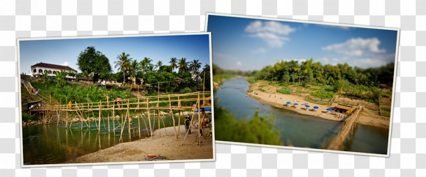 Nature Ecosystem Leisure Painting Vacation - Recreation - Luang Pa Barng Transparent PNG