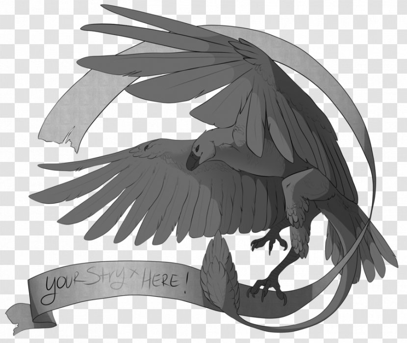 Bird Of Prey Drawing Beak /m/02csf - Legendary Creature Transparent PNG