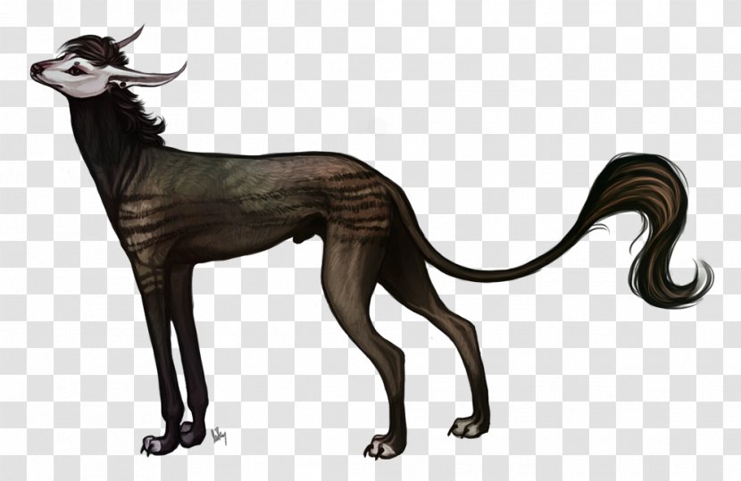 Dog Cat Character Tail Wildlife - Carnivoran Transparent PNG