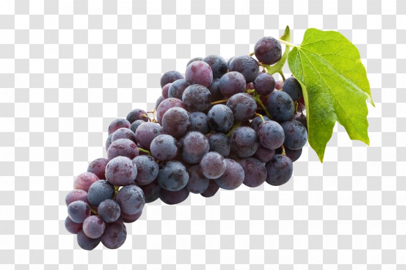 Concord Grape Juice Common Vine Wine Sultana - Fruit Transparent PNG