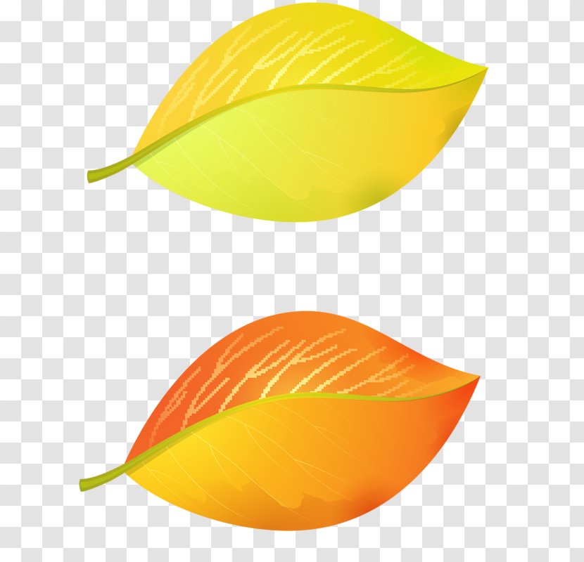 Line Leaf - Design Transparent PNG