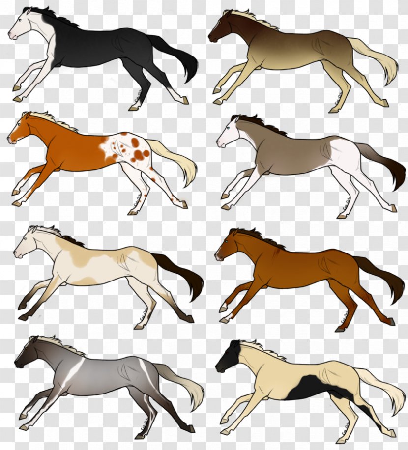Mustang Pony Stallion Foal Dog Transparent PNG