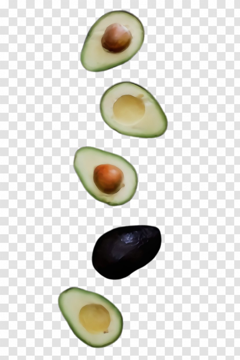 Avocado - Watercolor - Mussel Seed Transparent PNG