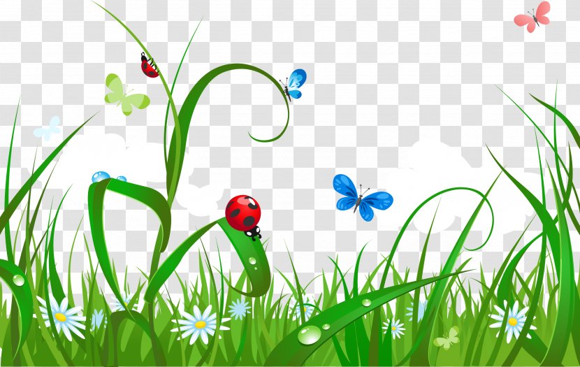 Royalty-free Illustration - Flower - Small Fresh Green Grass Transparent PNG