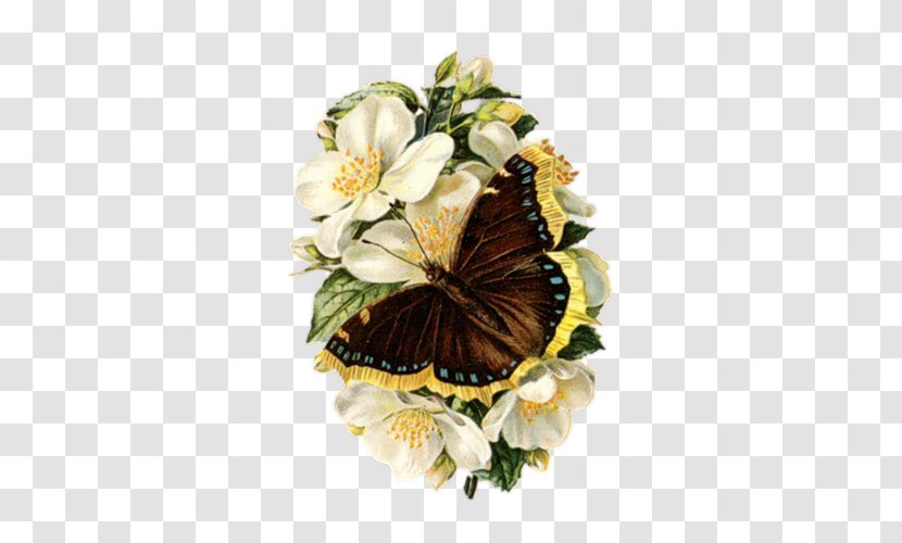 Best Borders Flower Clip Art Transparent PNG