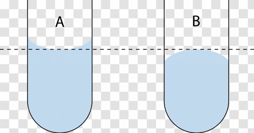 Meniscus Liquid Cohesion Adhesion Fluid - Physics Transparent PNG