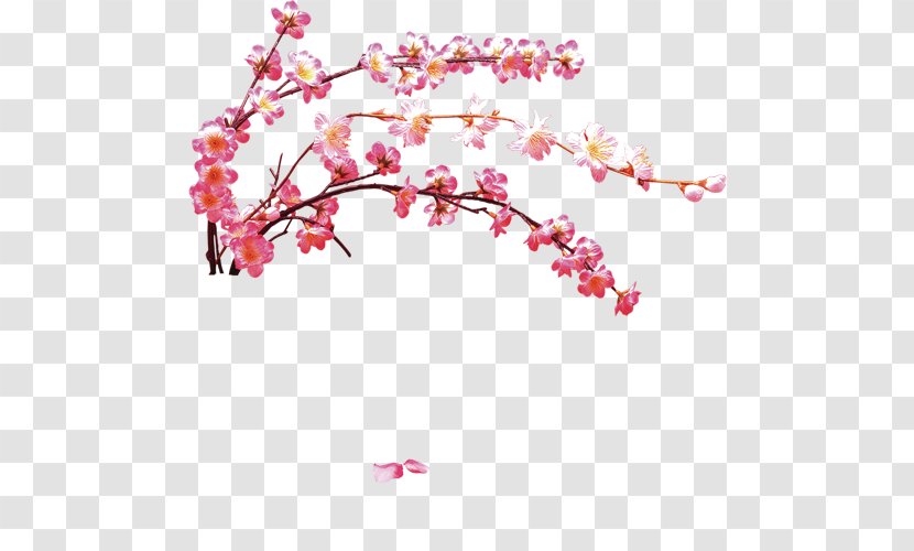 Dreamcatcher Flower - Twig - FIG Pink Plum Blossom Transparent PNG