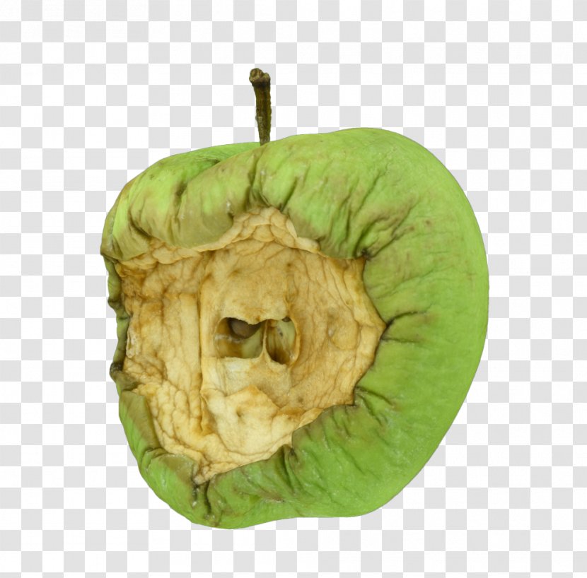 Photographer Day Time Wedding - Fruit - Rotten Apple Transparent PNG
