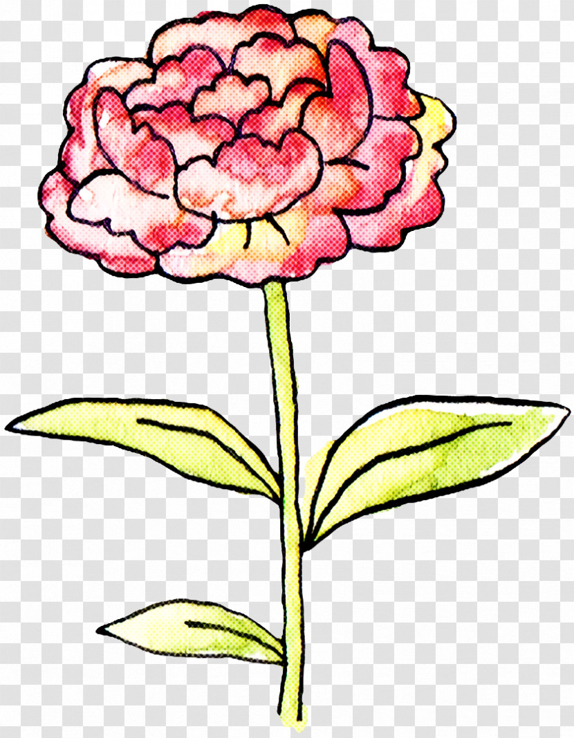 Floral Design Transparent PNG