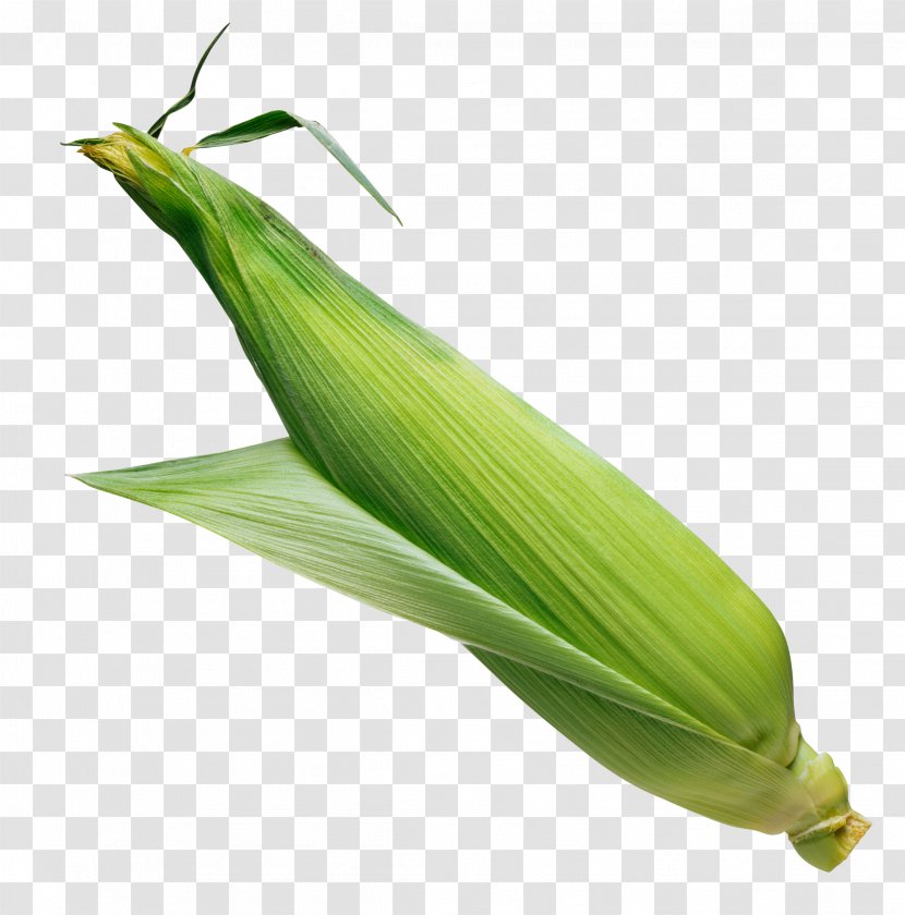 Flint Corn Sweet - Leaf - Image Transparent PNG