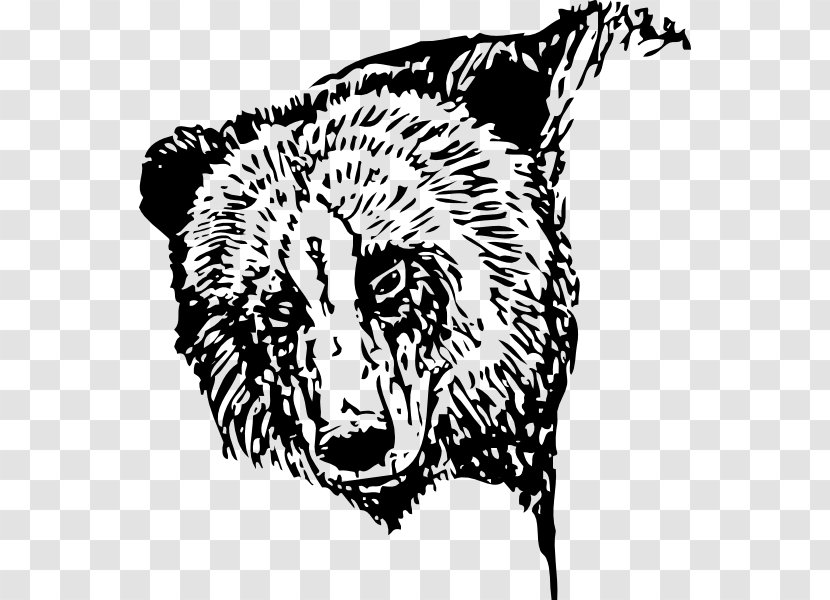 American Black Bear Brown Clip Art - Fauna - Bears Vector Transparent PNG