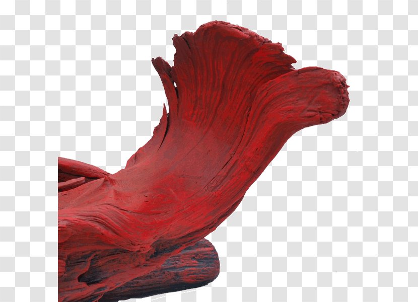 Shoe - Red - Driftwood Transparent PNG