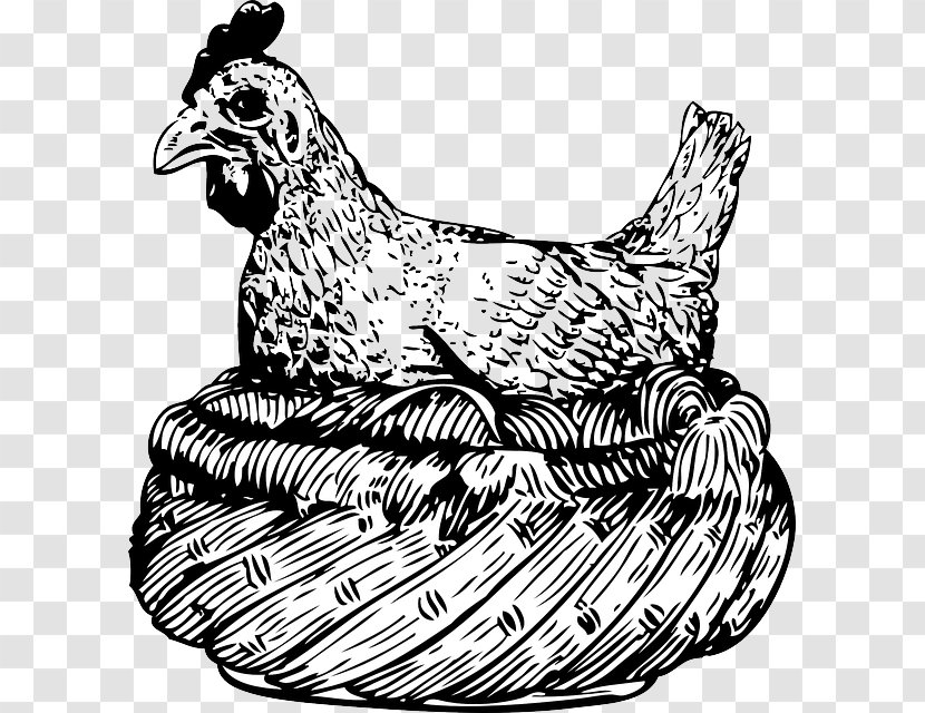Chicken Clip Art - Rooster Transparent PNG