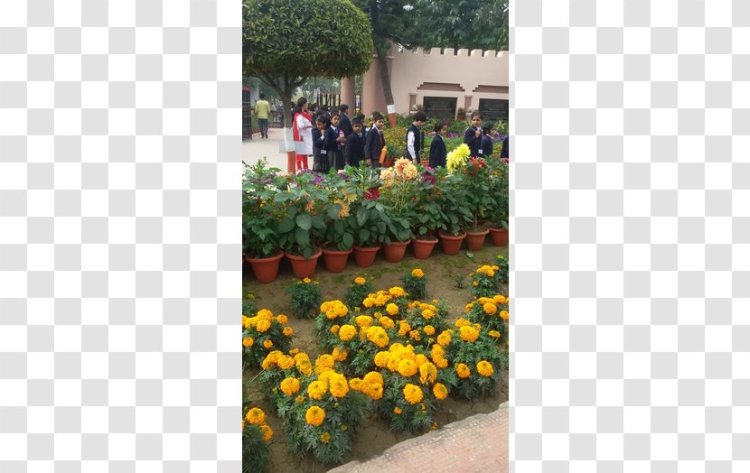 Cms Mahanagar Campus City Montessori School Content Management System Student - Floral Design - Environment Transparent PNG