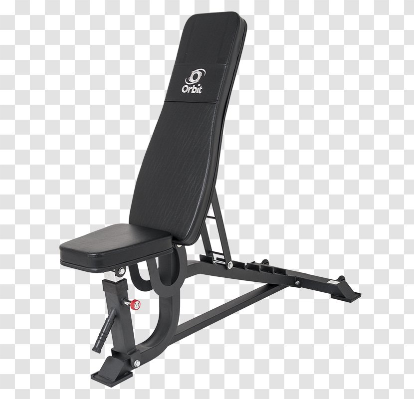 Bench Exercise Machine Fitness Centre Physical - Weight Transparent PNG