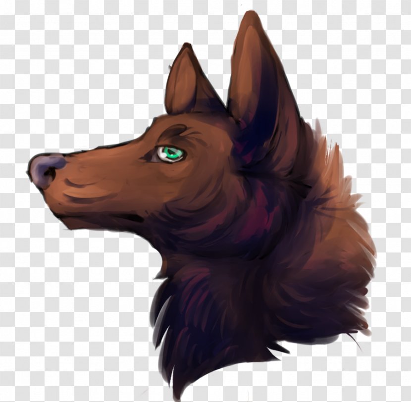 Dog Snout Fur Wildlife - Sadio Man%c3%a9 - Head Shot Transparent PNG