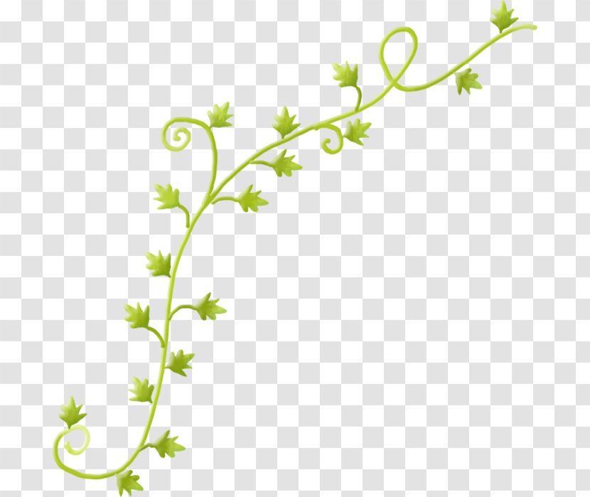 Vine Leaf Twig Plant - Rgb Color Model Transparent PNG