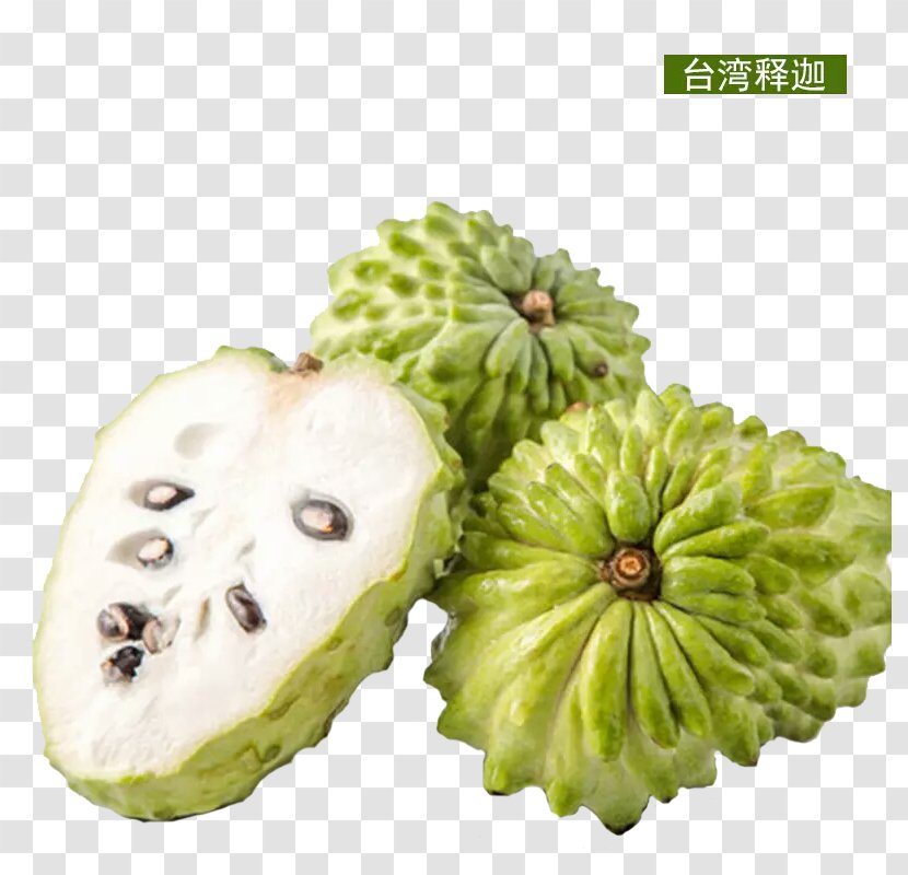 Sugar Apple Soursop Sugar-apple Auglis Fruits VinFruits - Superfood - Taiwan Buddha Transparent PNG