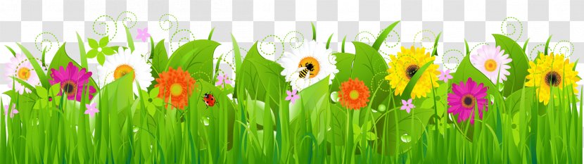 Stock Illustration Flower Clip Art - Photography - Cute Meadow Cliparts Transparent PNG