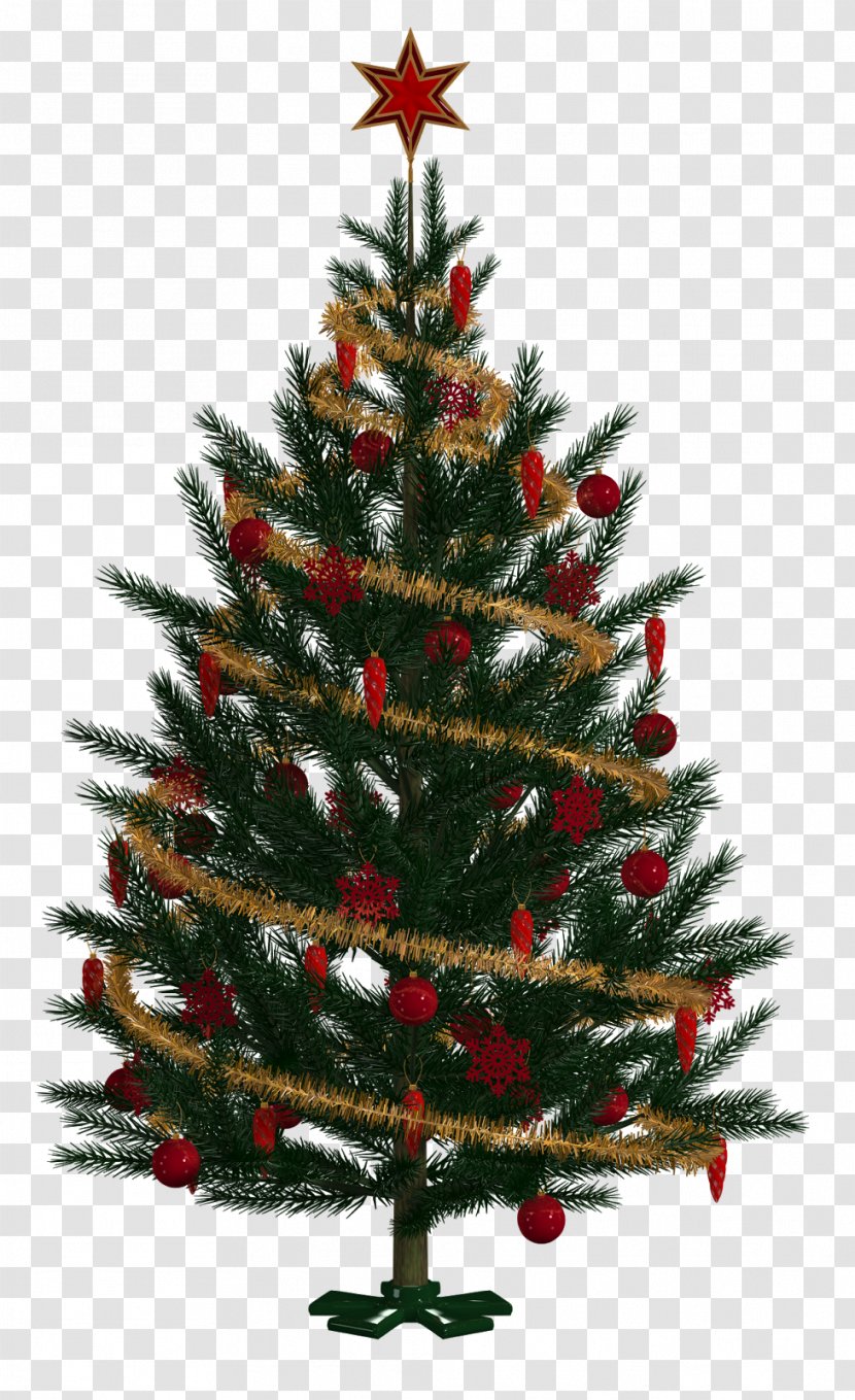 Christmas Tree Spruce Ornament Fir Pine - Conifer Transparent PNG