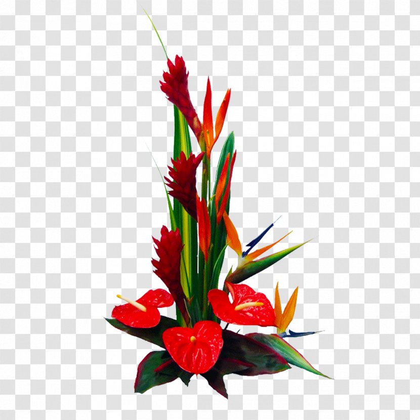 Hawaii Laceleaf Flower Bouquet Floristry - Flowerpot - Wedding Transparent PNG