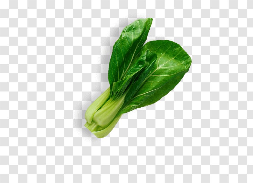 Leaf Vegetable Salad Food - Chinese Cabbage Transparent PNG
