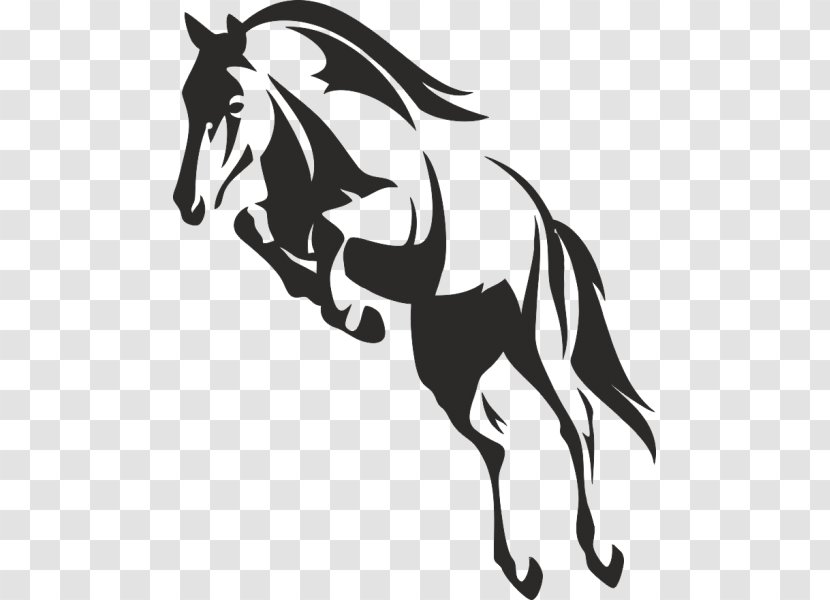Flying Horses Pegasus Stallion Wing - Mustang Horse - Belle Transparent PNG