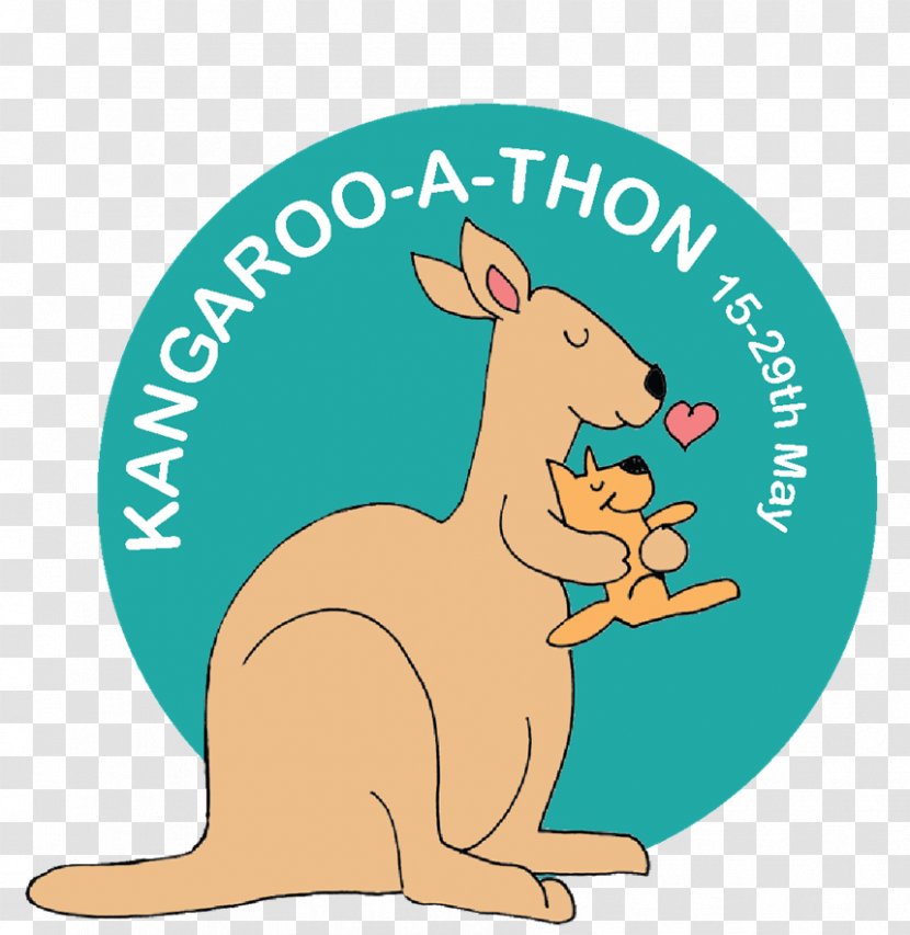 Kangaroo Care Macropodidae Neonatal Intensive Unit Infant - Tail Transparent PNG