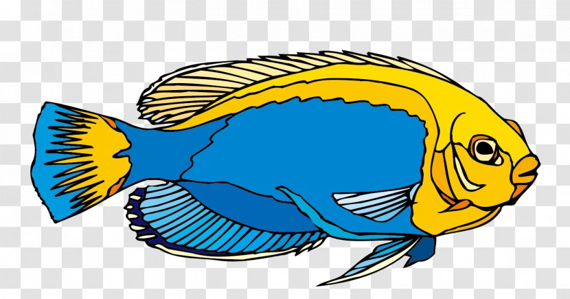 Freshwater Angelfish Ornamental Fish Clip Art - Cartoon - Stock Vector Blue Transparent PNG