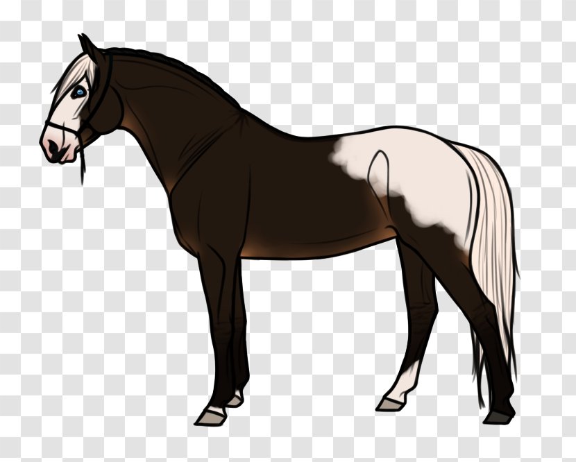 Stallion Horse Goat Pony Mane - Supplies Transparent PNG