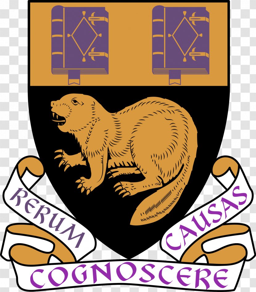 London School Of Economics University Political Science LSE Students' Union - Carnivoran - Beaver Transparent PNG