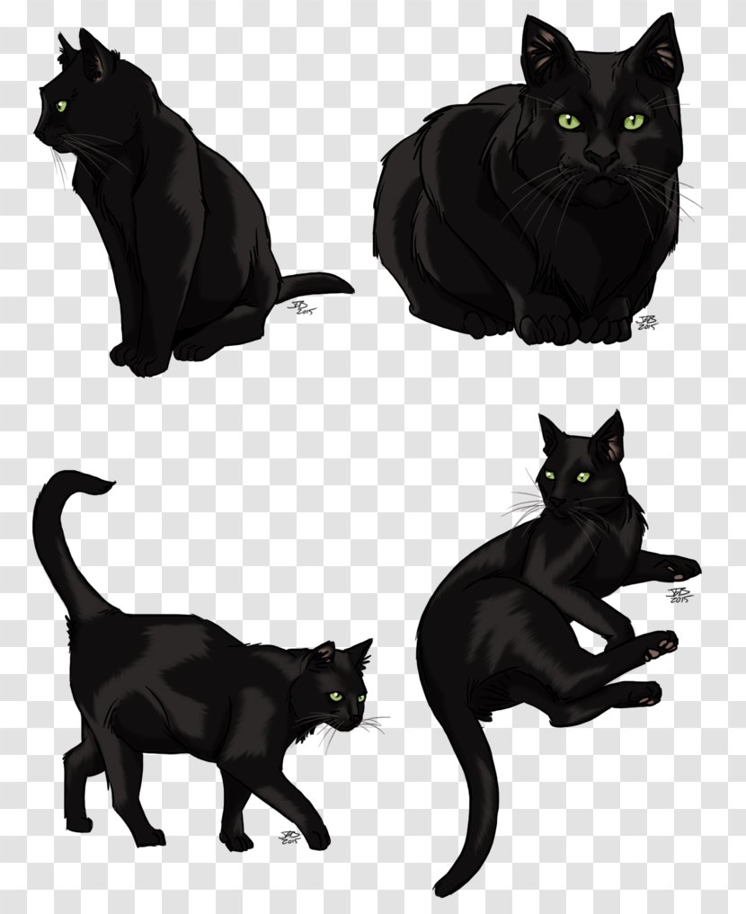 Black Cat Vector Graphics Pet Image - Dog Transparent PNG