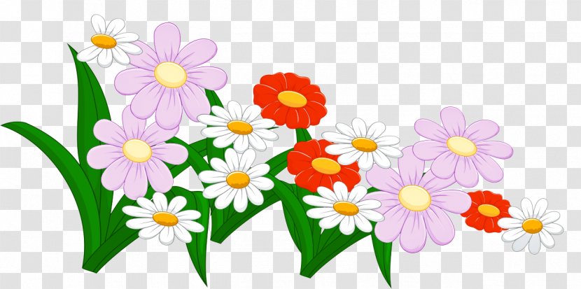Floral Design - Daisy Transparent PNG